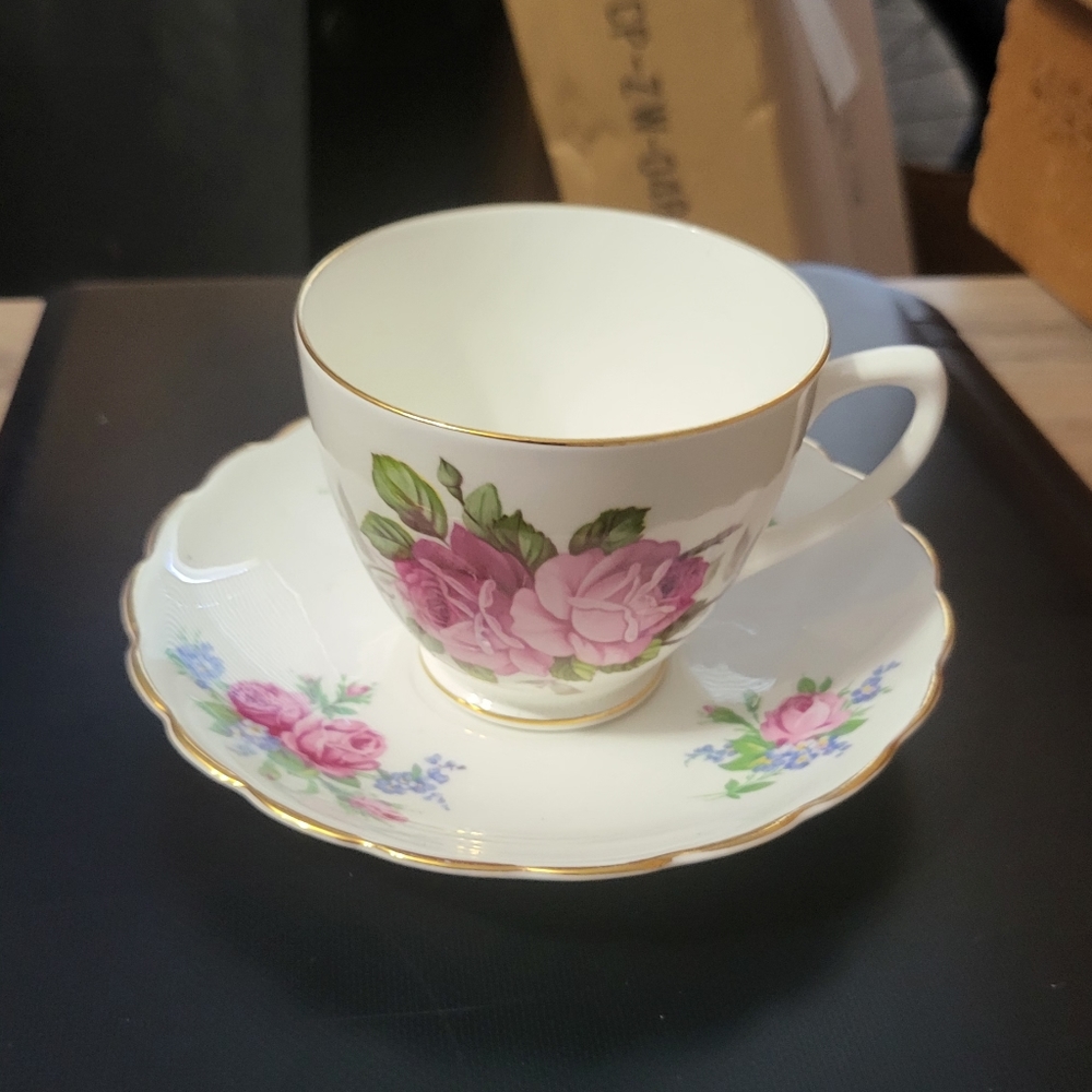 ROSINA Rose Bone China England Tea Cup And Saucer, Gold Trim #5078